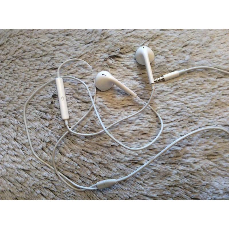 Apple Earbuds