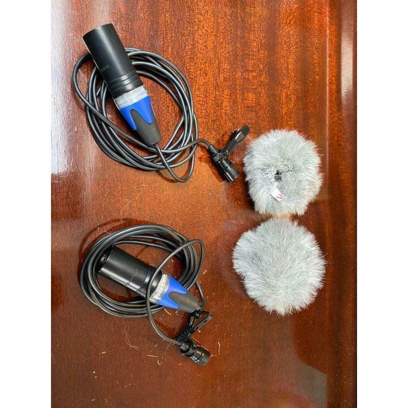 Clippy microphones em172 matched pair