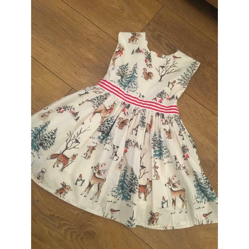 Next Christmas dress