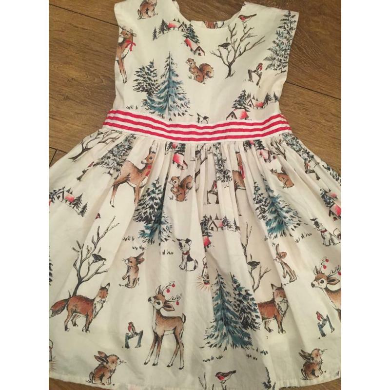 Next Christmas dress