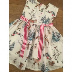 Next Christmas dress