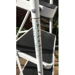 5ft Ladder
