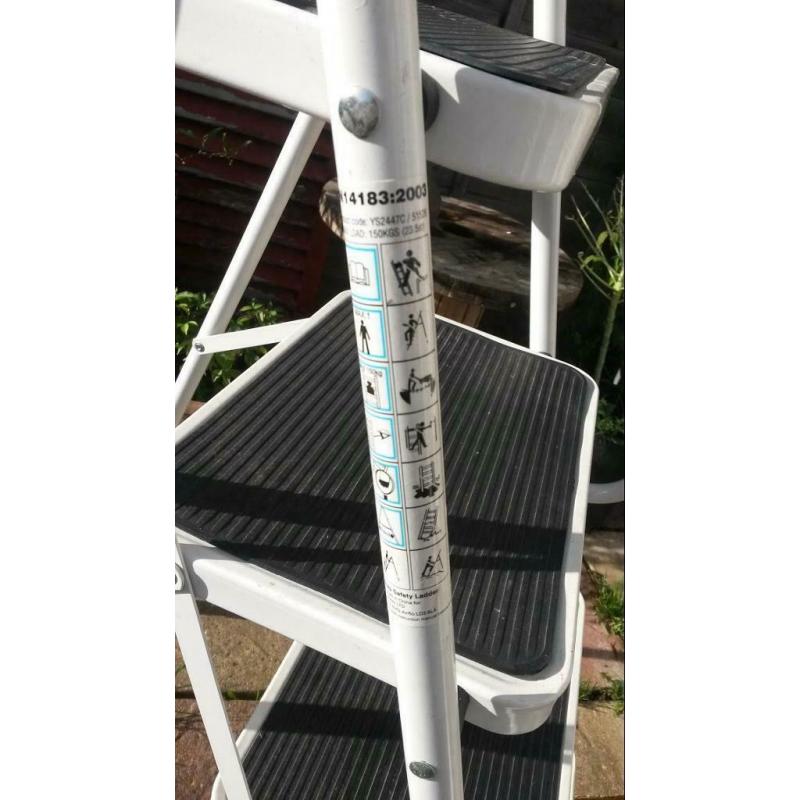 5ft Ladder