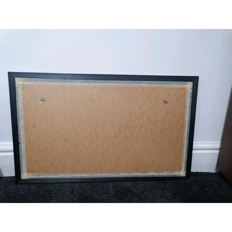 Cat frame painting