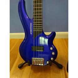 Bass Guitar