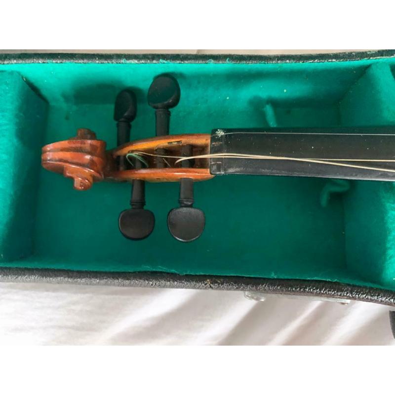 Violin (1/2)