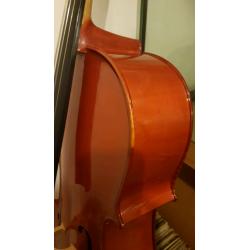 Stentor Student 1 cello