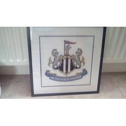 Newcastle Crest