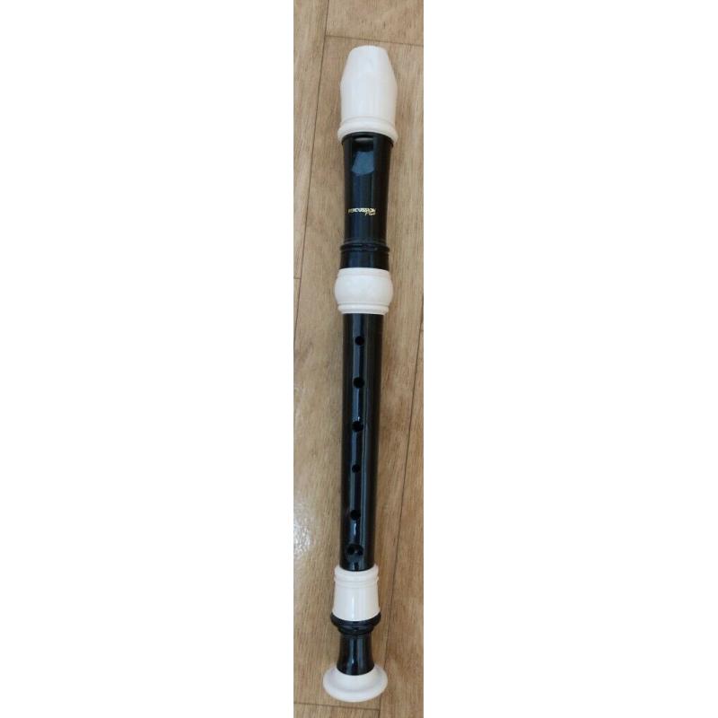 Plastic descant (C) recorder, used briefly.