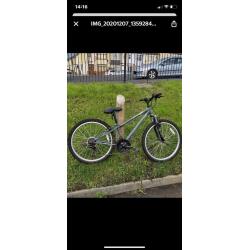 Teenagers bike, hardly used.