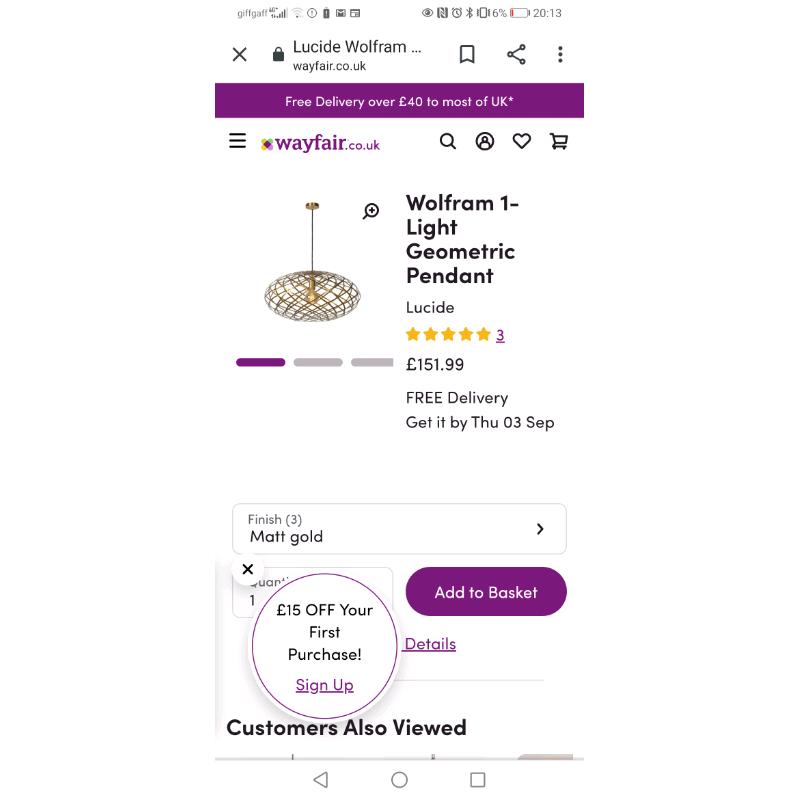Large pendant light