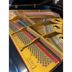 Young Chang G-157 Grand Piano| Belfast ||| Free delivery | || Belfast pianos