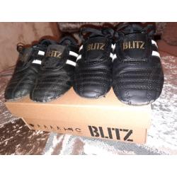 Martial Arts Training Shoes-blitz