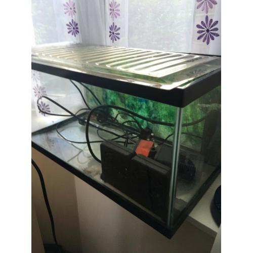 Fish tank