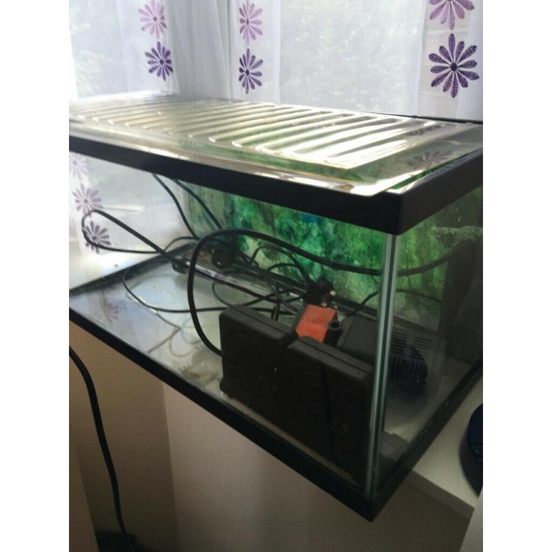 Fish tank