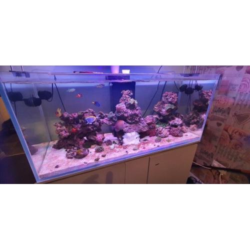Full marine setup