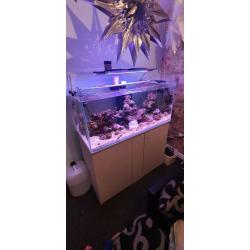Full marine setup