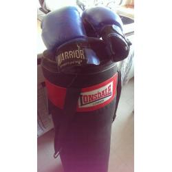PUNCH BAG & GLOVES
