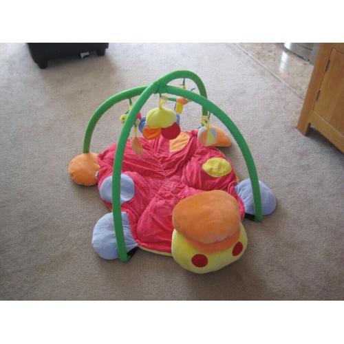 Ladybird Activity Mat