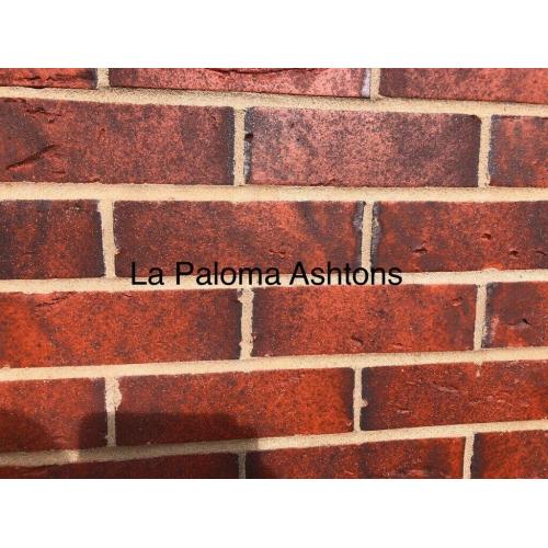 65m Ia Paloma Ashtons (512pack) @ ?180 Per Pack. Multiple Packs Aval