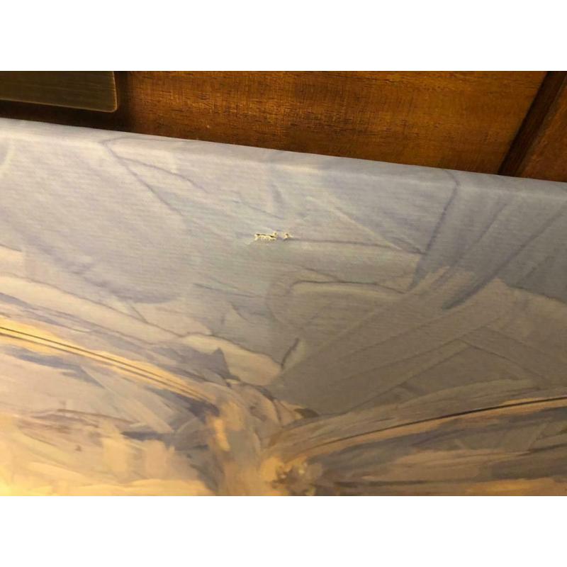 Canvas (large)