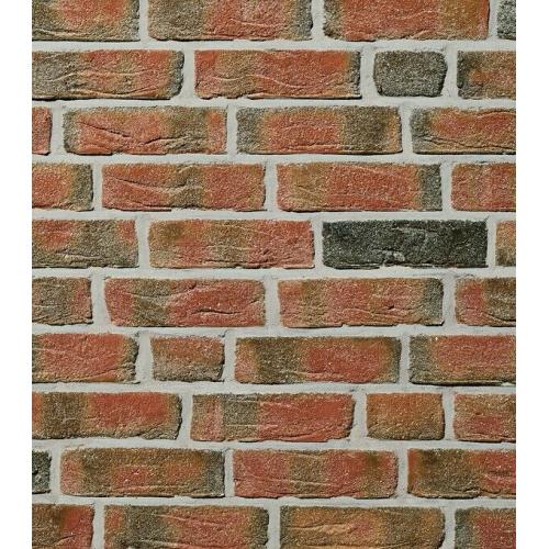Brick tiles (slips) Antique Rustic Wasserstrich red/black ref 604NF Hand moulding